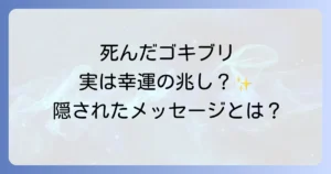 死んだゴキブリのスピリチュアルな意味を徹底解説!幸運の兆しと対処法
