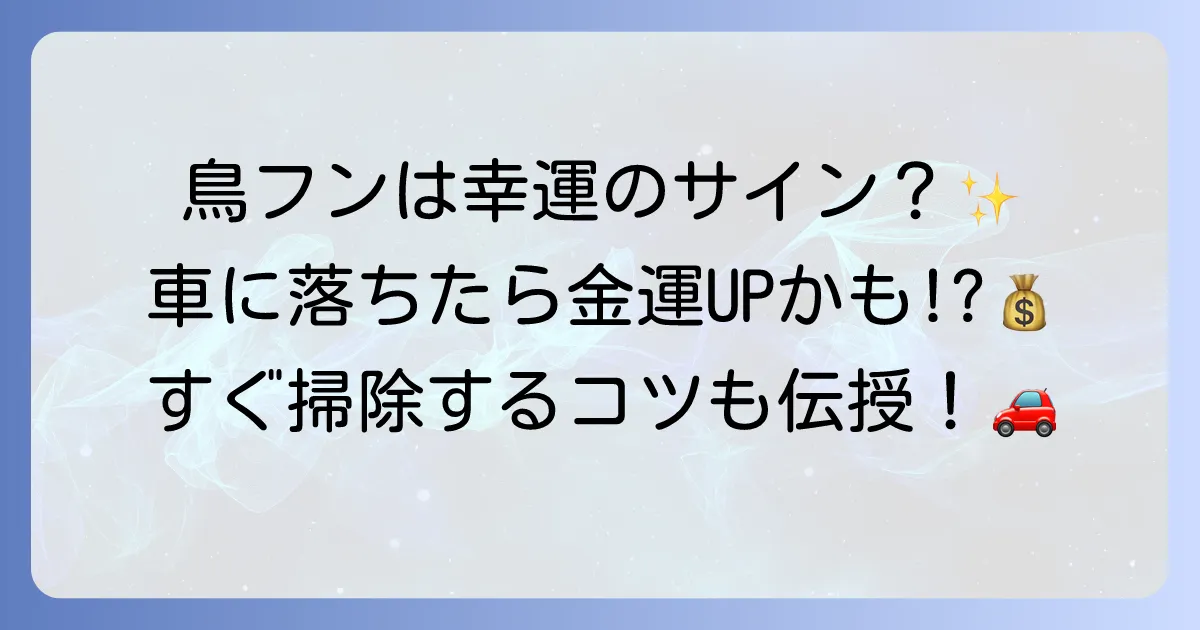 車に鳥のフンがよく落とされるスピリチュアルなメッセージと対策