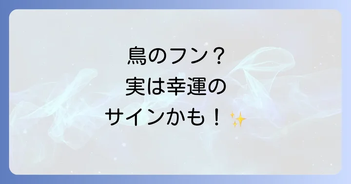 車に鳥のフンがよく落とされるのは幸運のサイン？スピリチュアルな意味を徹底解説