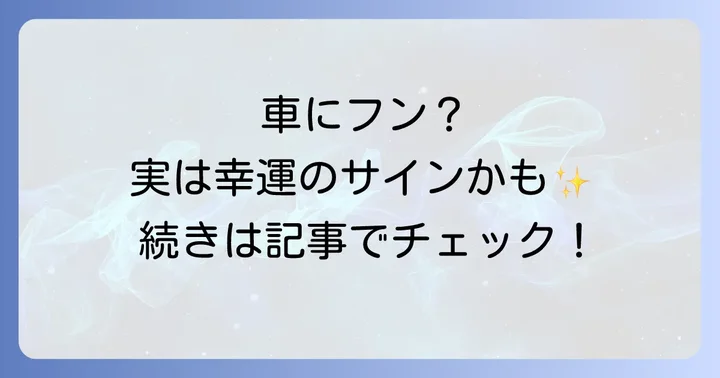 【場所別・鳥の種類別】鳥のフンのスピリチュアルな意味