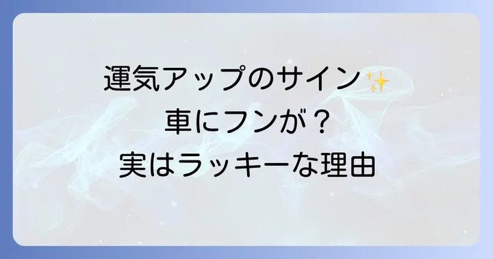 鳥のフンが落ちた時に運気をさらに高めるコツ