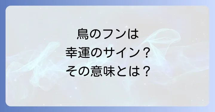 車の鳥のフンを放置する危険性と正しい対処法