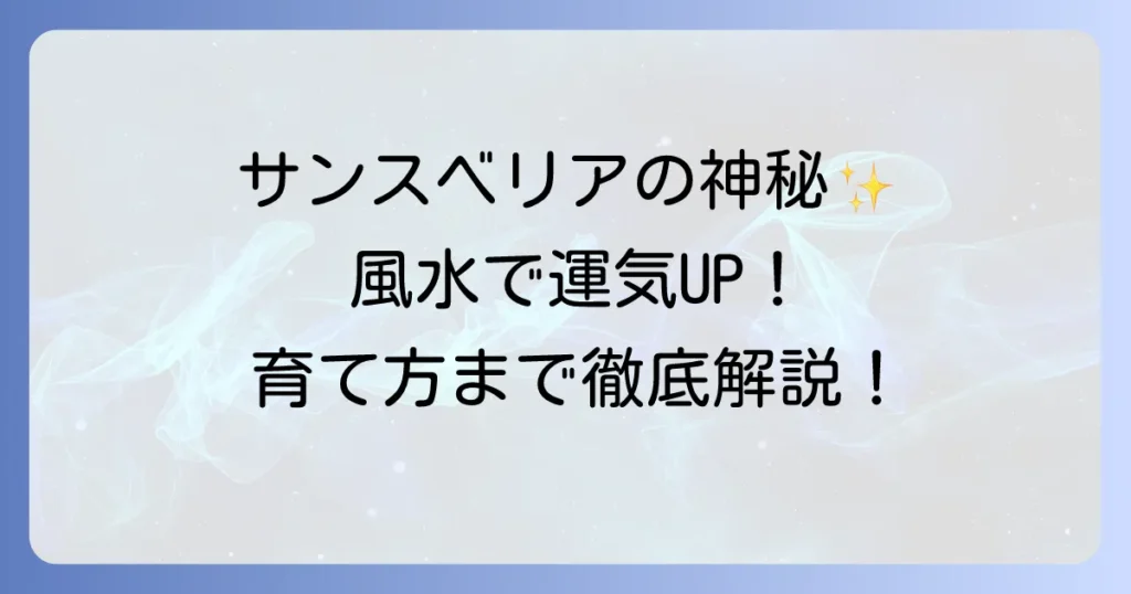 サンスベリアのスピリチュアルな意味と風水効果を徹底解説！運気を高める置き場所と育て方