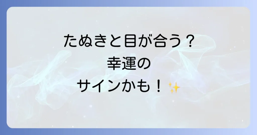 たぬきと目が合うスピリチュアルな意味を徹底解説！運気上昇のサインとメッセージ