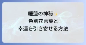 睡蓮のスピリチュアルな意味を徹底解説!色別の花言葉、蓮との違い、夢占い、風水で幸運を引き寄せる