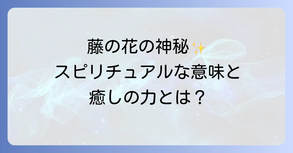 藤の花のスピリチュアルの神秘!秘められた意味と癒しの力を徹底解説