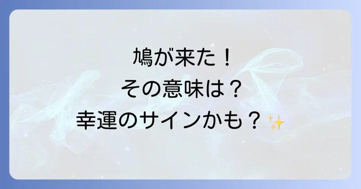 鳩のスピリチュアルなメッセージを受け取った時にすべきこと