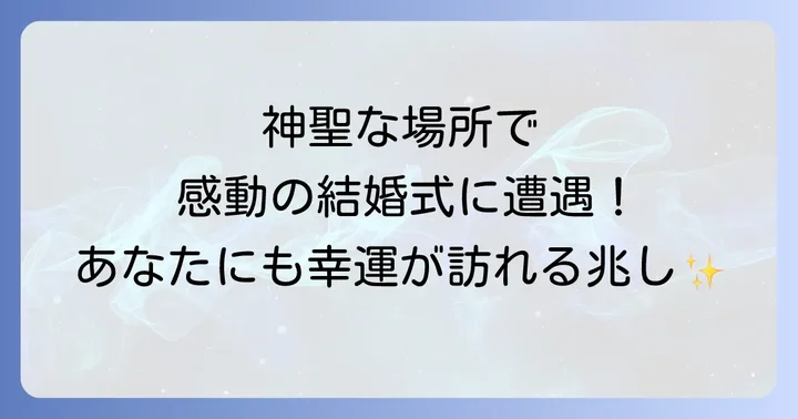 神社で結婚式に遭遇!スピリチュアルな意味とは?