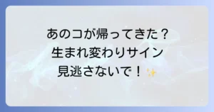 ペットの生まれ変わりをスピリチュアルで愛するペットとの再会を願う!魂の絆とサインを徹底解説