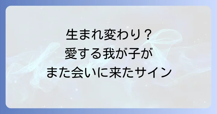 亡くなったペットは本当に生まれ変わるのか？スピリチュアルな視点