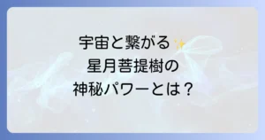 星月菩提樹のスピリチュアルな意味と効果を徹底解説!宇宙と繋がる神秘の力