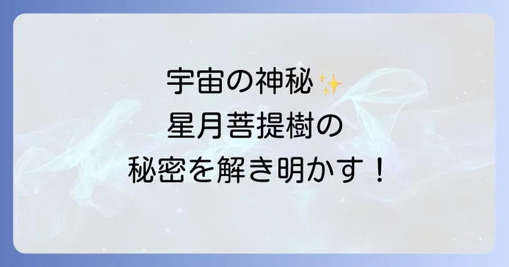 星月菩提樹を日常に取り入れる方法と選び方