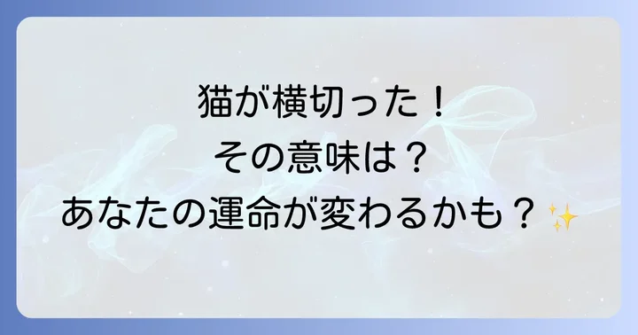 運転中に猫が横切るスピリチュアルな意味とは？