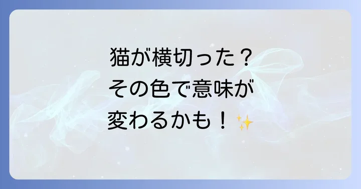猫の色別に見るスピリチュアルな意味