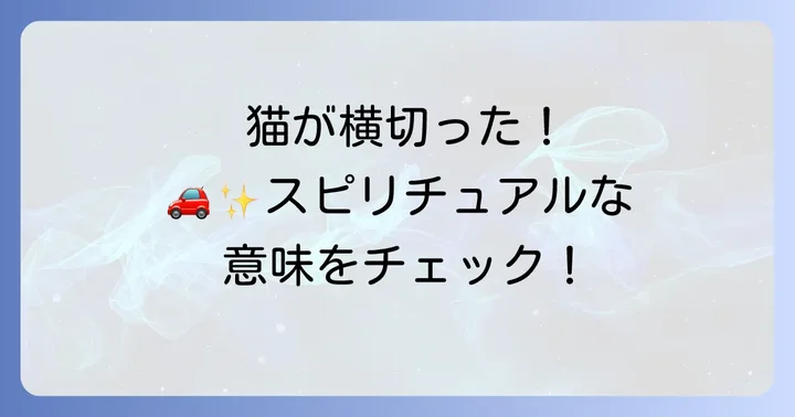 運転中に猫が横切った時に意識すべきこと