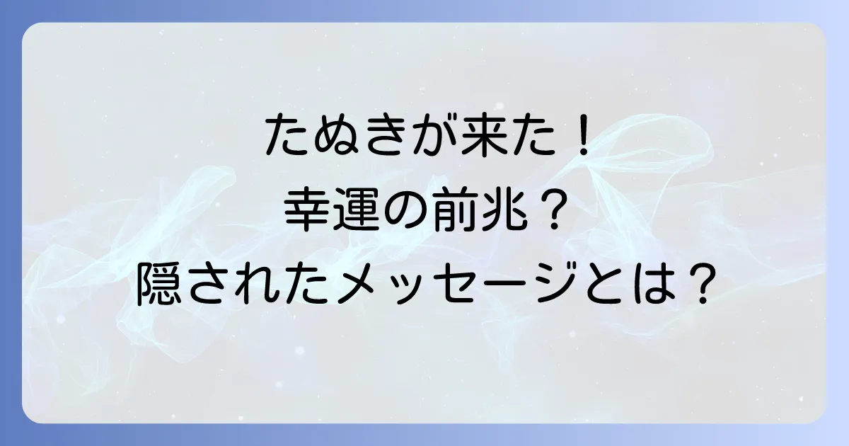 たぬきが家に来るスピリチュアルな意味とは?幸運のサインと隠されたメッセージを徹底解説