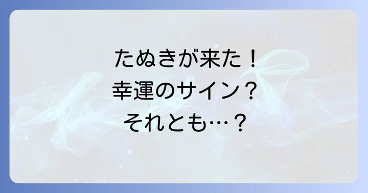 たぬきのスピリチュアルなメッセージを活かすための行動