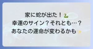 家に蛇が出たスピリチュアルな意味とは?幸運の兆しから注意点まで徹底解説