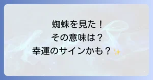 家の中で蜘蛛をよく見るスピリチュアルな意味を徹底解説！幸運のサインとメッセージ
