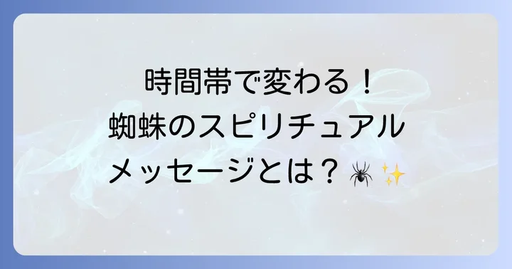 時間帯別で見る蜘蛛のスピリチュアルなメッセージ
