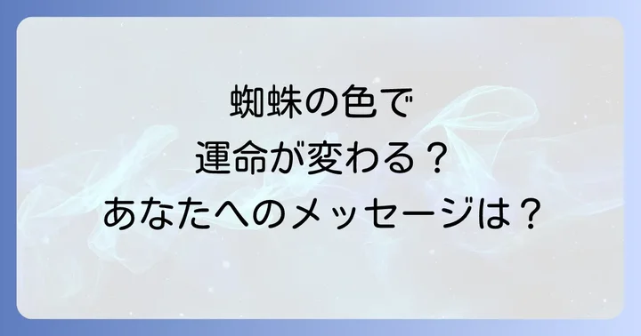 蜘蛛の大きさや色で変わるスピリチュアルな意味