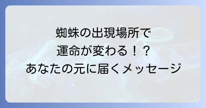 蜘蛛を見かける場所が示すスピリチュアルなメッセージ