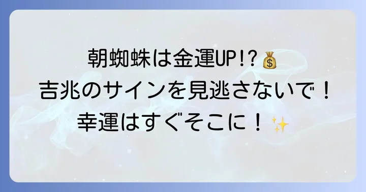 蜘蛛の巣が持つスピリチュアルな意味と注意点