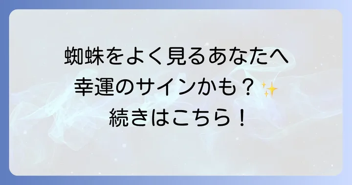 蜘蛛をよく見る人が持つスピリチュアルな特徴