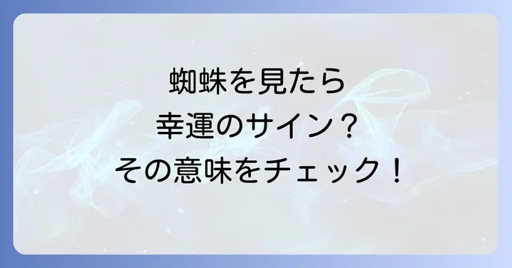 蜘蛛を見かけた時の正しい心構えと行動
