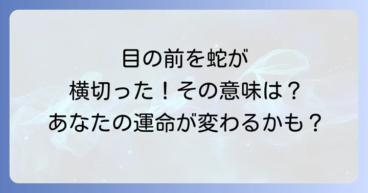 【状況別】蛇が前を横切るスピリチュアルな意味を読み解く