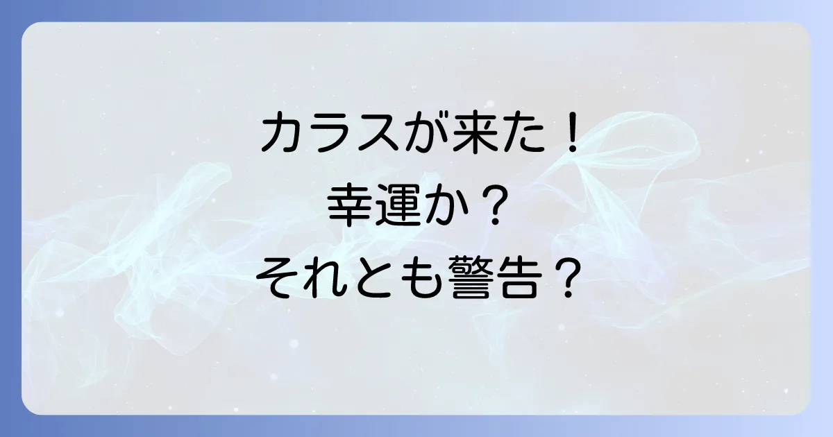 カラスが近くに来るスピリチュアルな意味を徹底解説!幸運のサインと変化のメッセージ