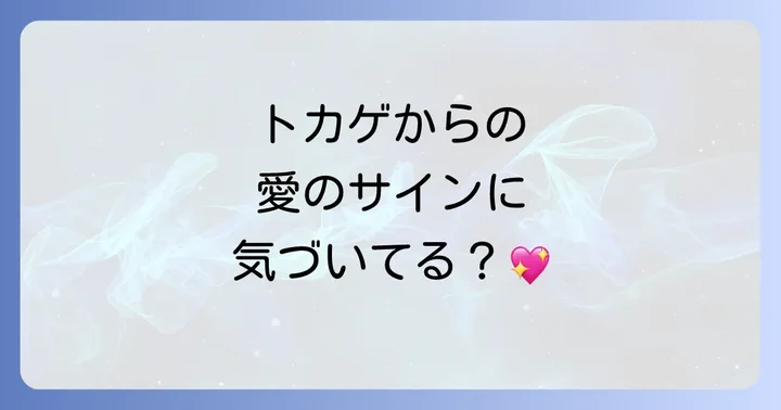 トカゲのスピリチュアルサインを恋愛に活かすコツ