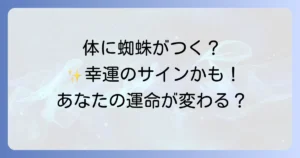 蜘蛛が体につくスピリチュアルな意味を徹底解説!幸運のメッセージと行動について