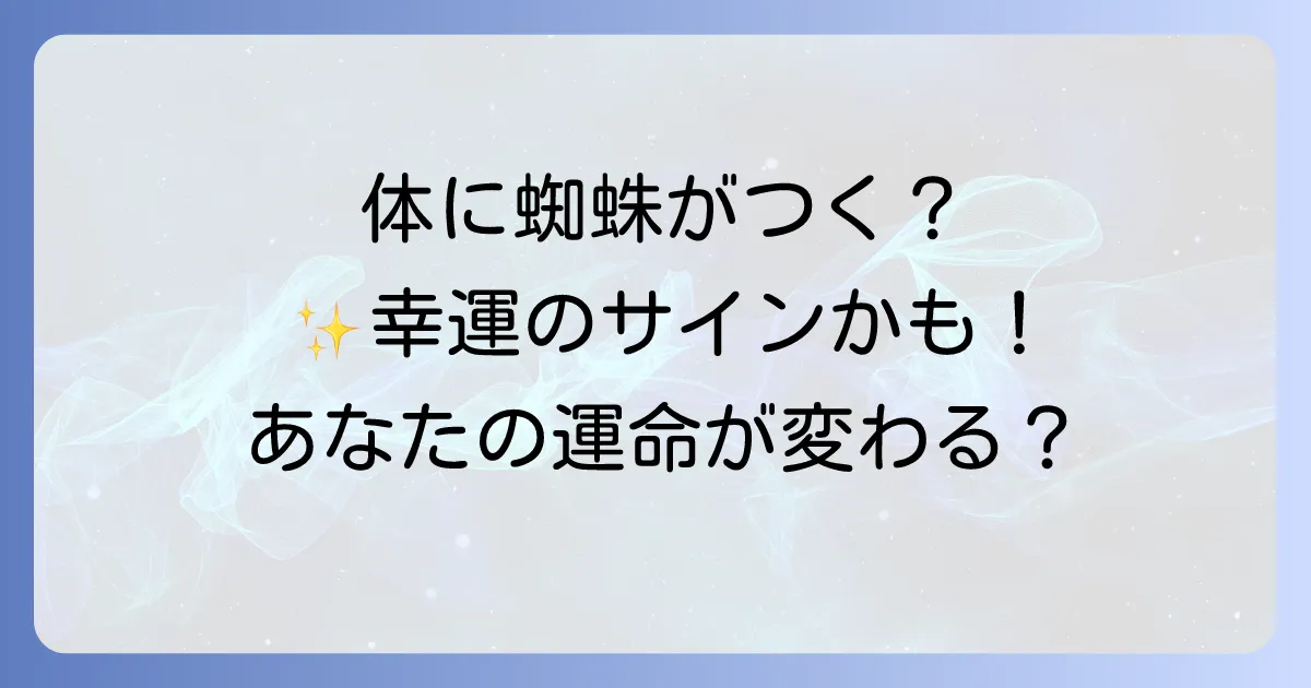 蜘蛛が体につくスピリチュアルな意味を徹底解説!幸運のメッセージと行動について