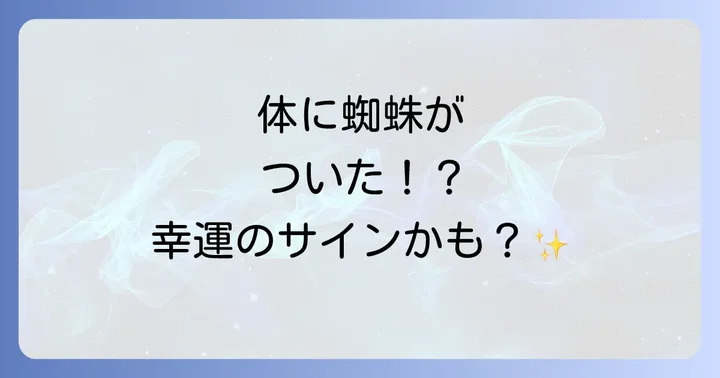 蜘蛛が体につくのはどんな幸運のサイン？具体的なメッセージ