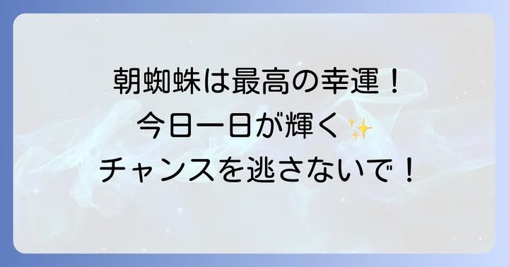 蜘蛛が体につく時間帯で変わるスピリチュアルな意味