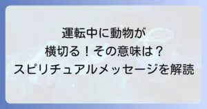 運転中に動物が横切るスピリチュアルな意味を徹底解説！メッセージを読み解く方法