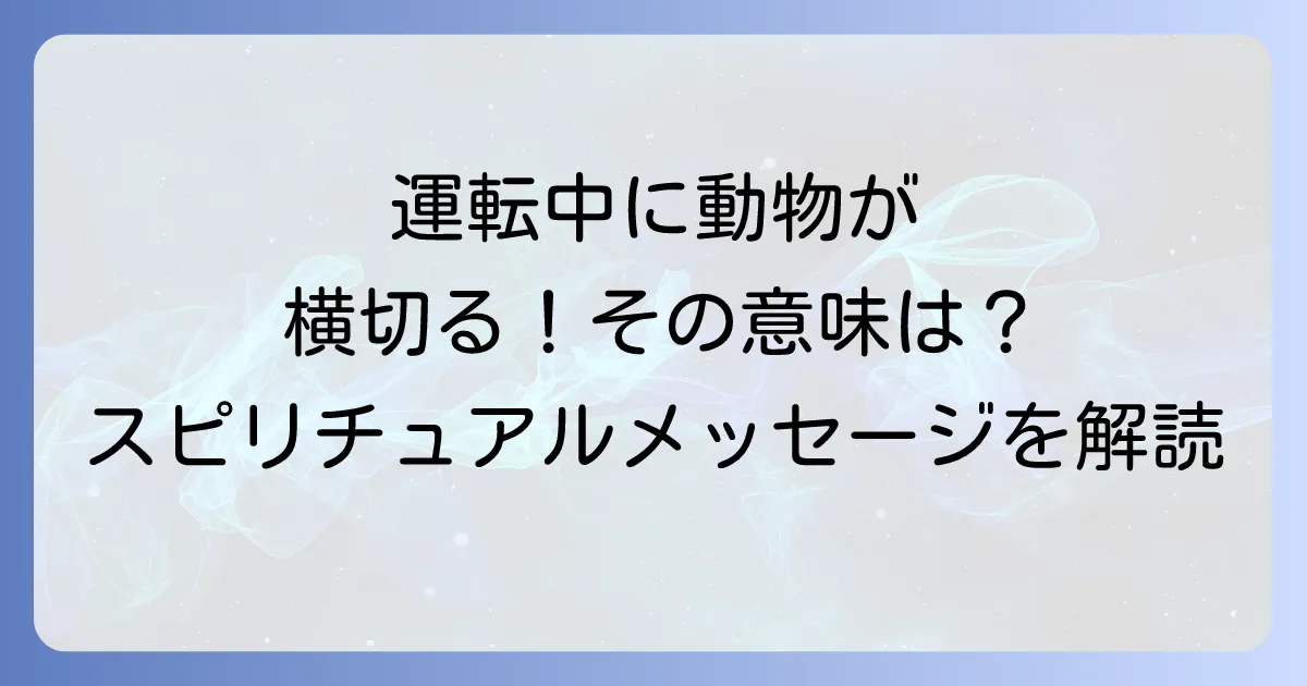 運転中に動物が横切るスピリチュアルな意味を徹底解説!メッセージを読み解く方法