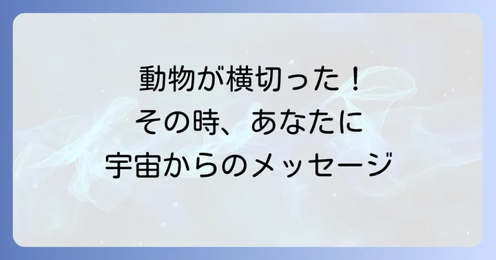 横切る動物の種類別スピリチュアルメッセージ