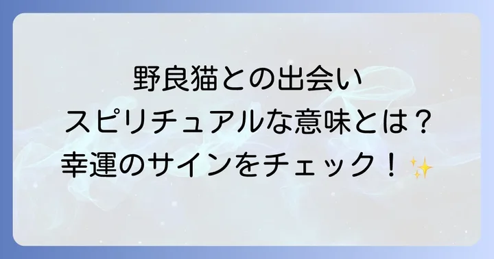 野良猫とのスピリチュアルな出会いを人生に活かすコツ