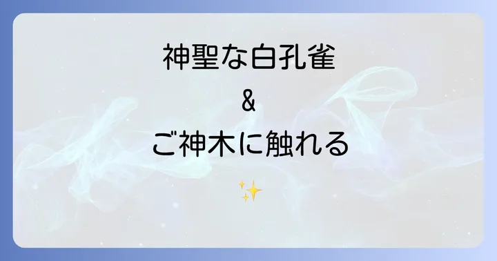 進雄神社のスピリチュアルな見どころを巡る
