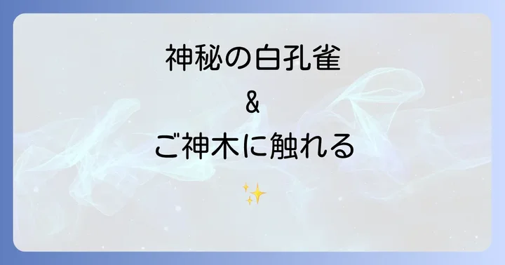 進雄神社へのアクセスと参拝方法