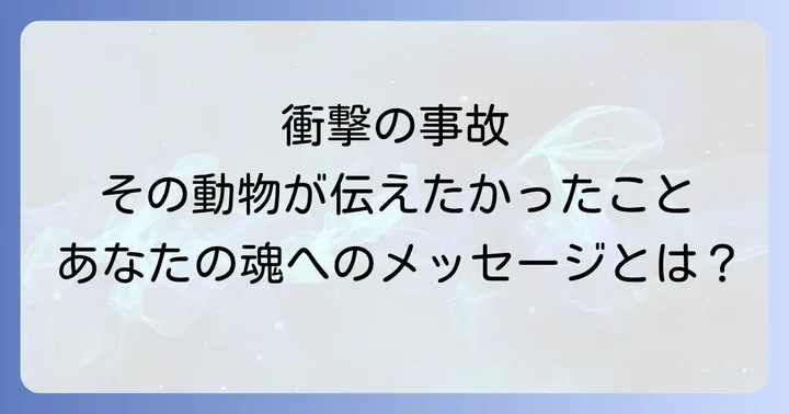 動物を轢いてしまった後の心のケアと対処法
