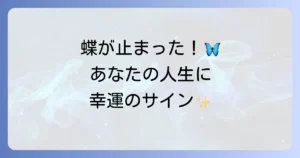 蝶が止まるスピリチュアルな意味を徹底解説!色や場所で変わるメッセージと幸運を引き寄せる方法