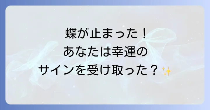 蝶が止まるスピリチュアルな意味とは？基本的なメッセージを理解する