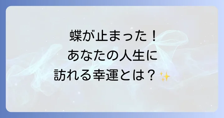 蝶が止まる以外の状況が示すスピリチュアルメッセージ