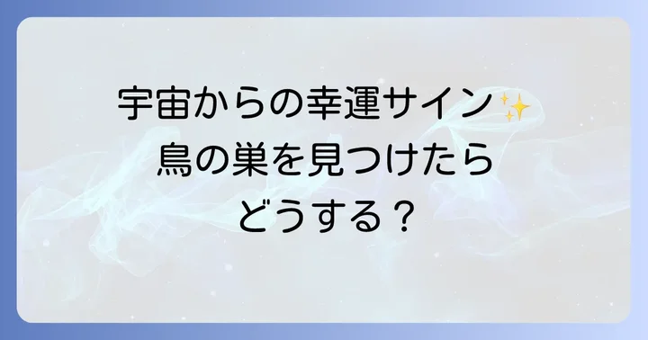 鳥の巣を見つけた時の正しい対処法と心構え