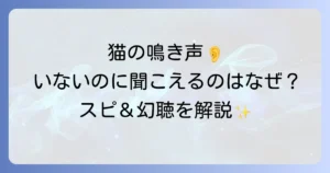 猫の鳴き声がいないのに聞こえるスピリチュアルな意味と幻聴の可能性を徹底解説