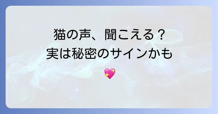 猫の鳴き声がいないのに聞こえた時の適切な対処法
