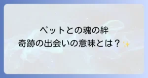 ペットとのご縁のスピリチュアルな意味と魂の絆を徹底解説